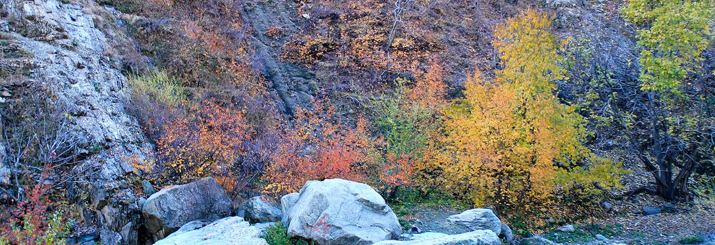 روستای آهار تا آبشار شکراب